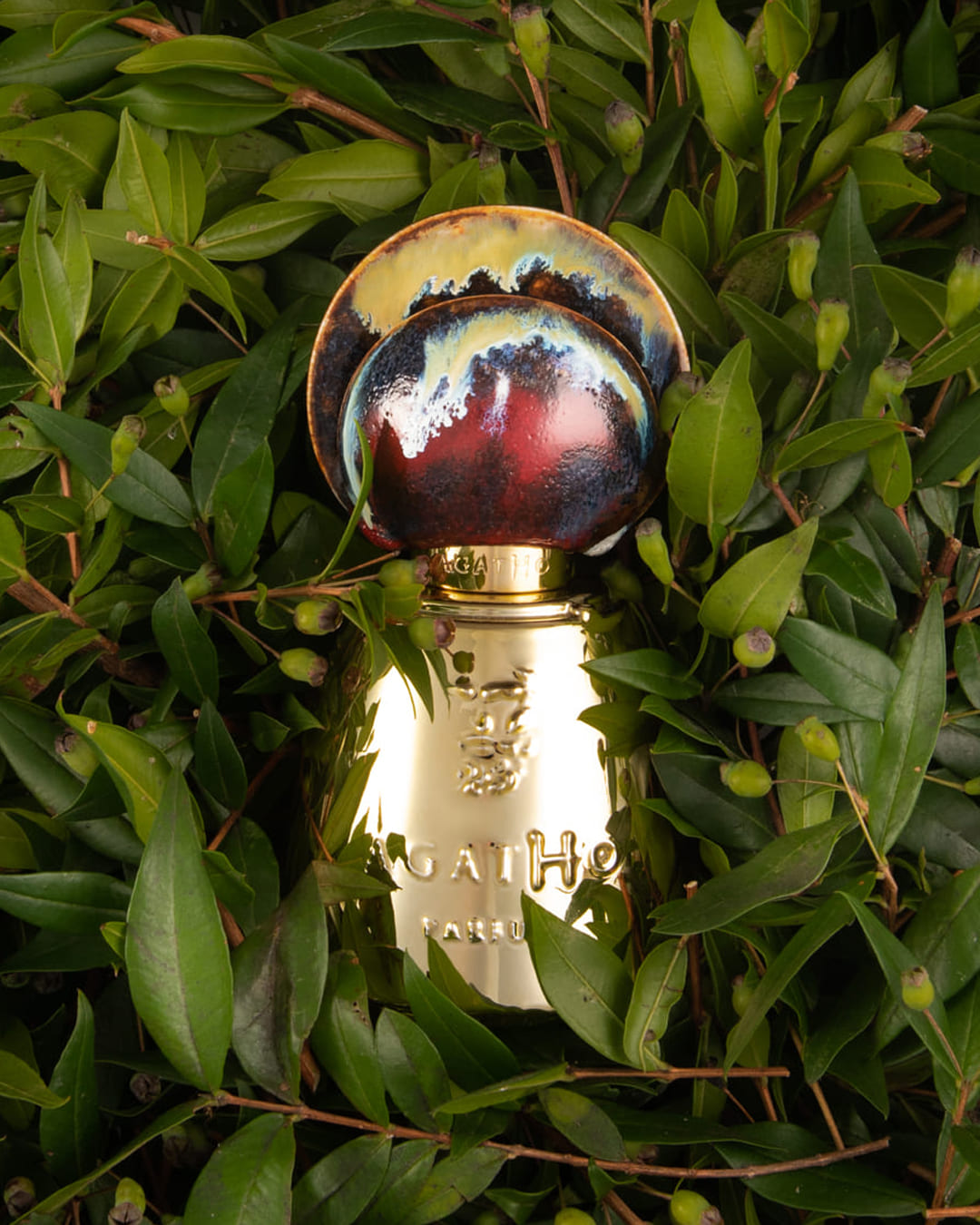 Agatho - Castiamanti